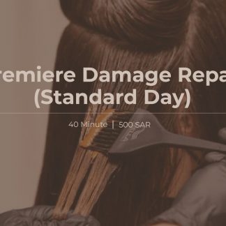Premiere Damage Repair (Standard Day)